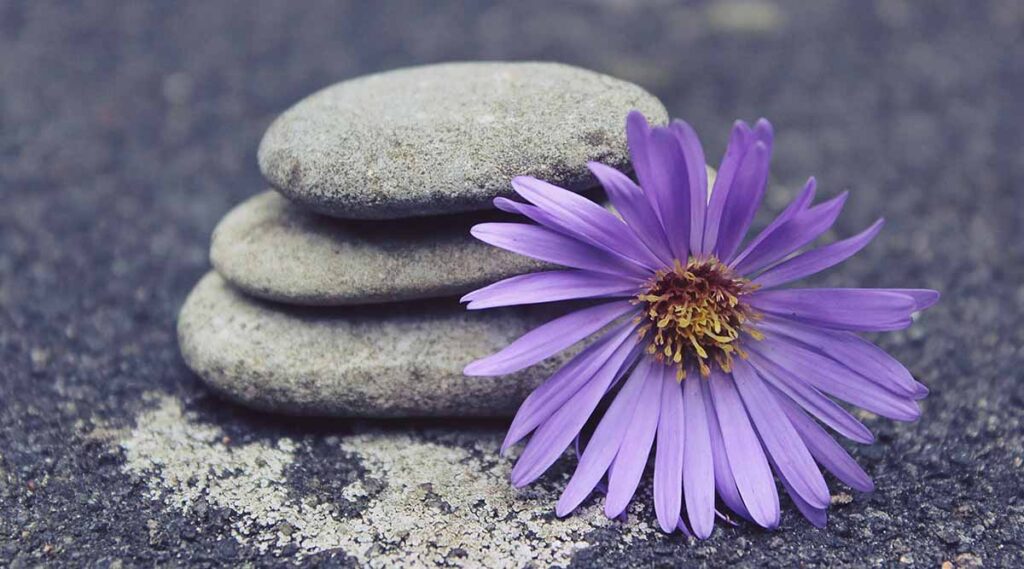 7 frases para reflexionar sobre nuestra vida (desde la filosofía Zen)
